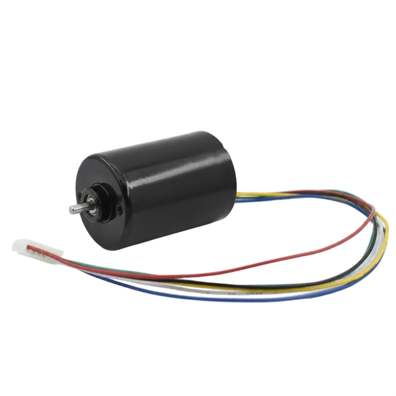 Motor DC Tanpa Sikat 3650BL